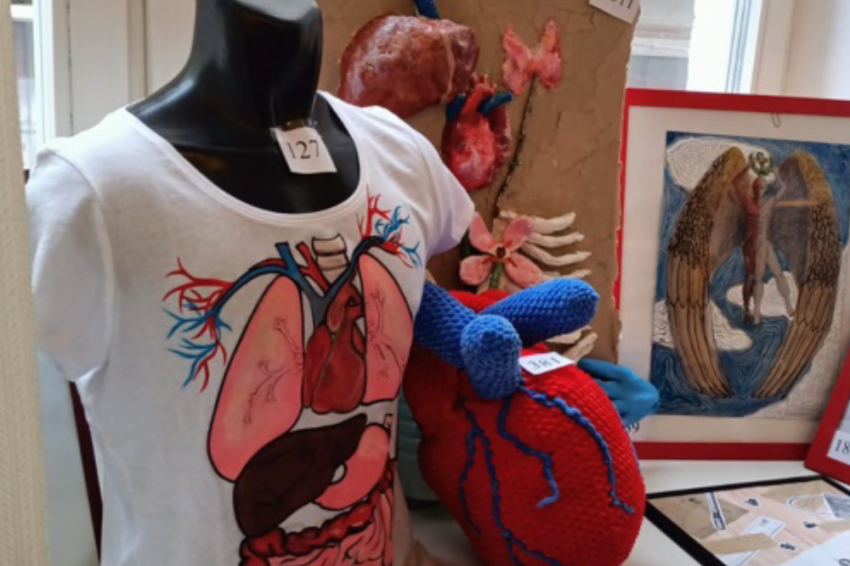 События НИУ «БелГУ» обучающаяся белгородского госуниверситета – победитель международного конкурса анатомического рисунка