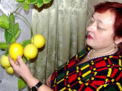 События НИУ «БелГУ» золотой урожай – в январе