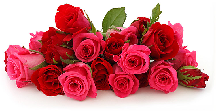 Поздравления НИУ «БелГУ» Коллектив НИУ «БелГУ» поздравляет с юбилеем Светлану Александровну Острикову