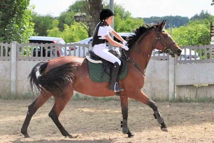 События НИУ «БелГУ» успешный дебют спортсменки конноспортивной школы