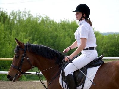 События НИУ «БелГУ» спортсмены конноспортивной школы завоевали 9 медалей