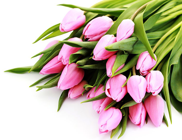 Поздравления НИУ «БелГУ» Коллектив НИУ «БелГУ» поздравляет с юбилеем Людмилу Александровну Тишевскую