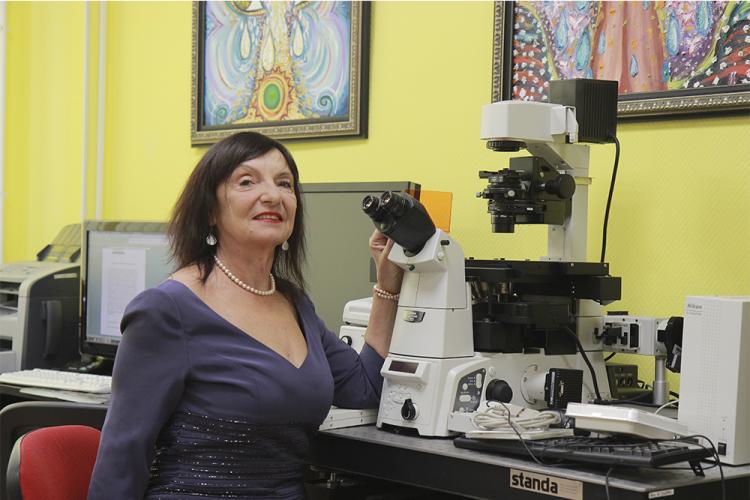 События НИУ «БелГУ» научный прорыв в вопросах изучения патоморфологии