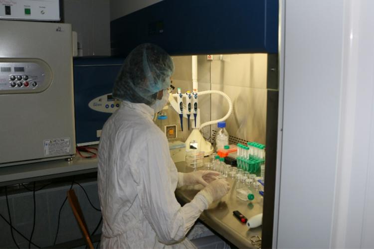 События НИУ «БелГУ» учёные ниу «белгу» разработали новейший препарат для лечения псориаза