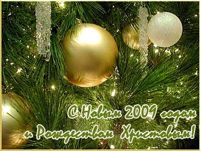 Поздравления НИУ «БелГУ» Обращение ректора БелГУ профессора Л.Я. Дятченко