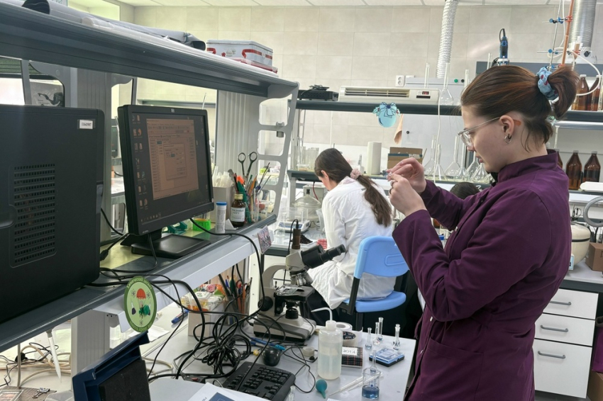 События НИУ «БелГУ» студенты ниу «белгу» начали работу над проектами в рамках «университетской среды»