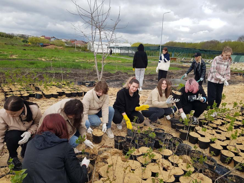 События НИУ «БелГУ» ботанический сад и оздоровительный комплекс «нежеголь» приведут в порядок после зимы