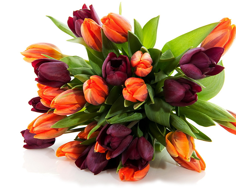 Поздравления НИУ «БелГУ» Коллектив БелГУ поздравляет с юбилеем Олега Олеговича Новикова