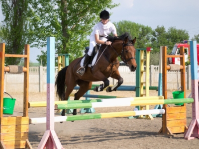 События НИУ «БелГУ» «держава» – наша