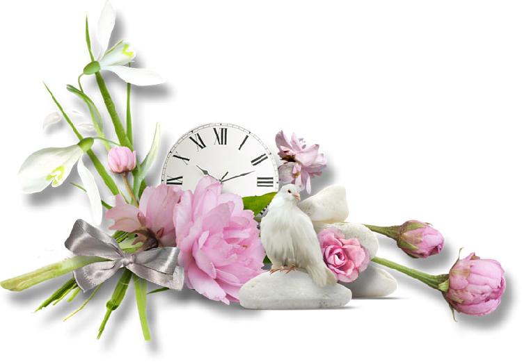 Поздравления НИУ «БелГУ» С Днём российского студенчества!