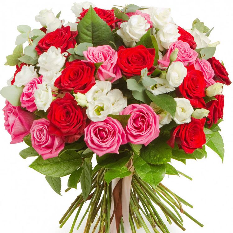 Поздравления НИУ «БелГУ» Коллектив БелГУ поздравляет с юбилеем Ольгу Алексеевну Ефремову