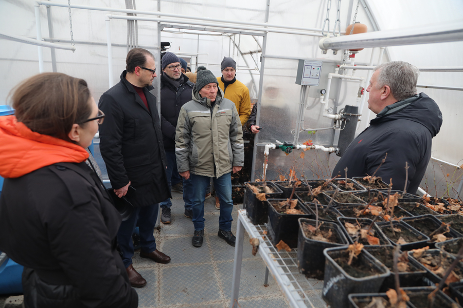 НИУ «БелГУ» и АПХ «Зелёная Долина» приступят к реализации совместных проектов в области генетики, селекции и биотехнологий