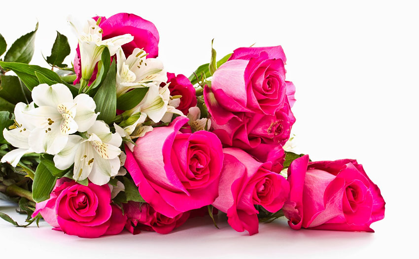 Поздравления НИУ «БелГУ» С Днём преподавателя высшей школы!