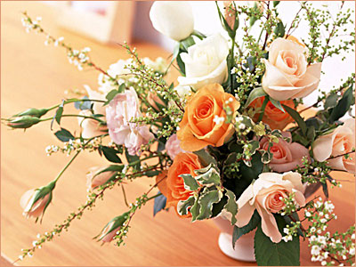 Поздравления НИУ «БелГУ» С Днем российского студенчества!