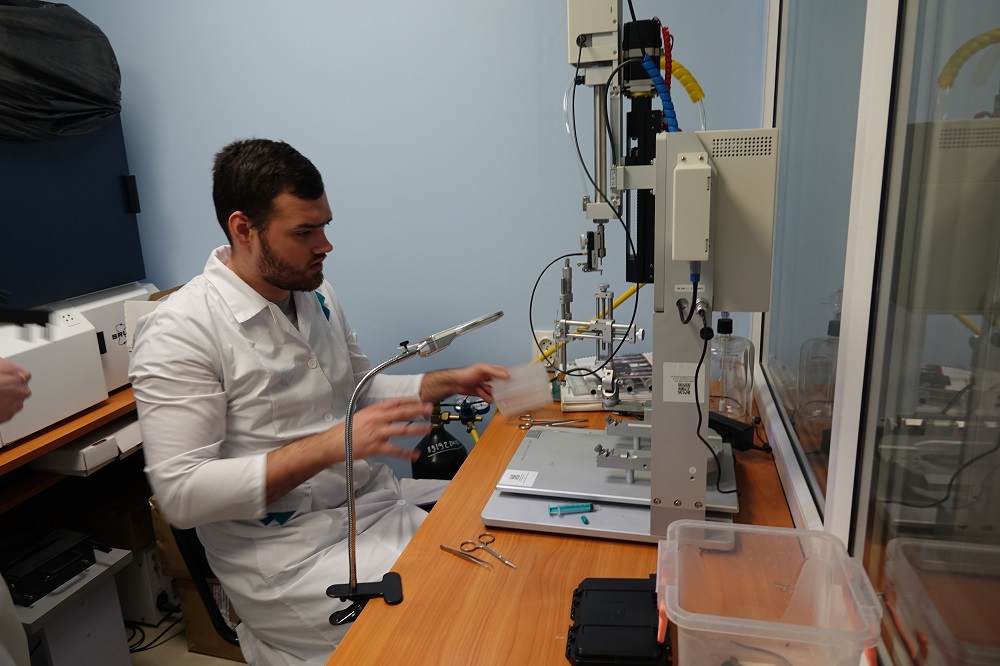 В НИУ «БелГУ» открывается новое направление высокоточного моделирования черепно-мозговых травм