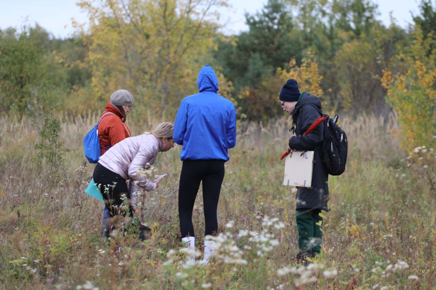 События НИУ «БелГУ» учёные ниу «белгу» продолжают исследования белгородских болот 
