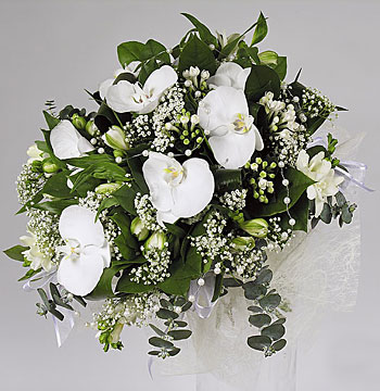 Поздравления НИУ «БелГУ» Коллектив БелГУ поздравляет с юбилеем Моисееву Софью Ахметовну