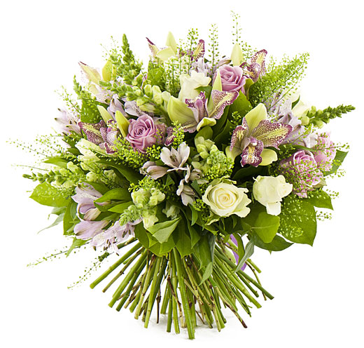 Поздравления НИУ «БелГУ» С Днём российской молодёжи!