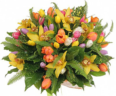 Поздравления НИУ «БелГУ» С профессиональным праздником – общероссийским Днем библиотек