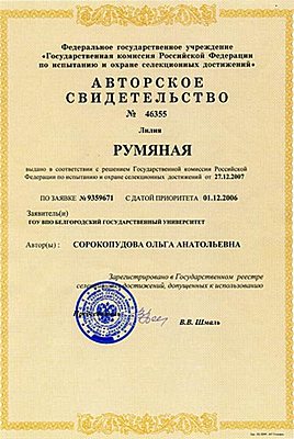 «Румяная», «Белянка» и другие… События НИУ «БелГУ» «румяная», «белянка» и другие…