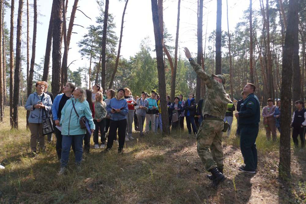 «ForestNet»: возможность нового взгляда на окружающий мир