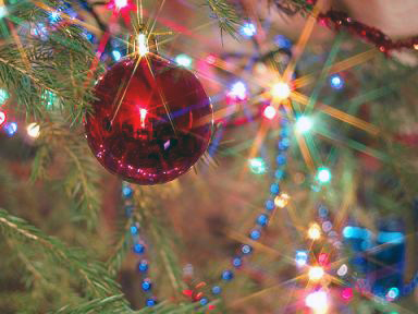 События НИУ «БелГУ» новогодние каникулы