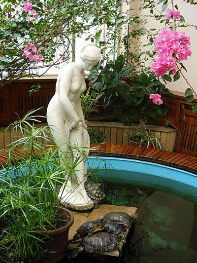 Объявления НИУ «БелГУ» цветочный фейерверк