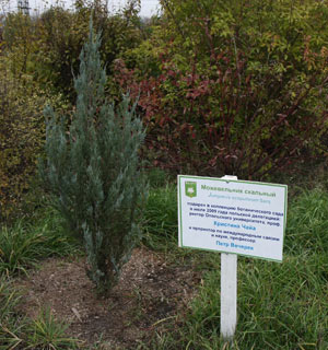 События НИУ «БелГУ» именное дерево