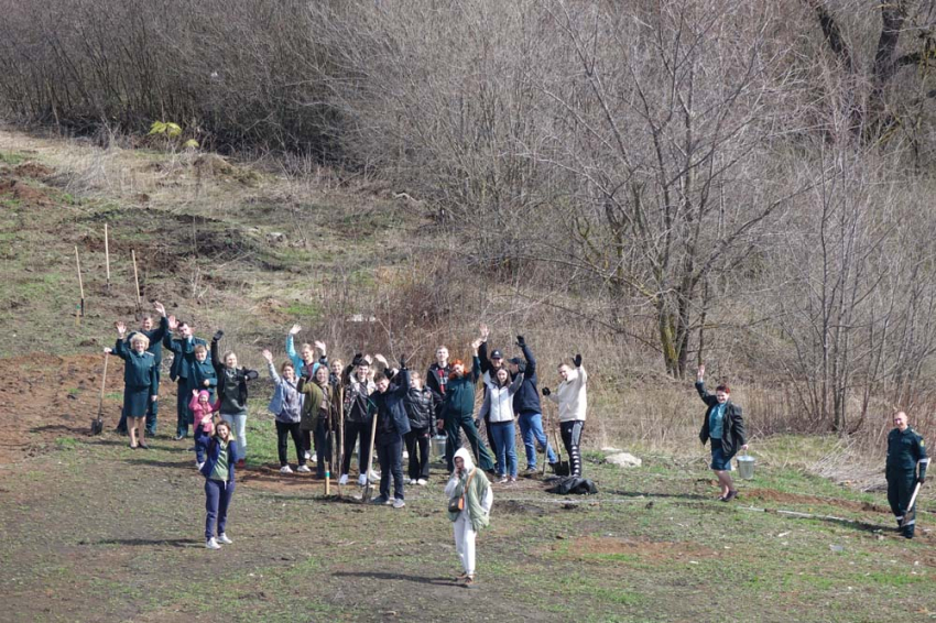 События НИУ «БелГУ» на карбоновом полигоне в ботаническом саду ниу «белгу» высадили 170 саженцев тополей 