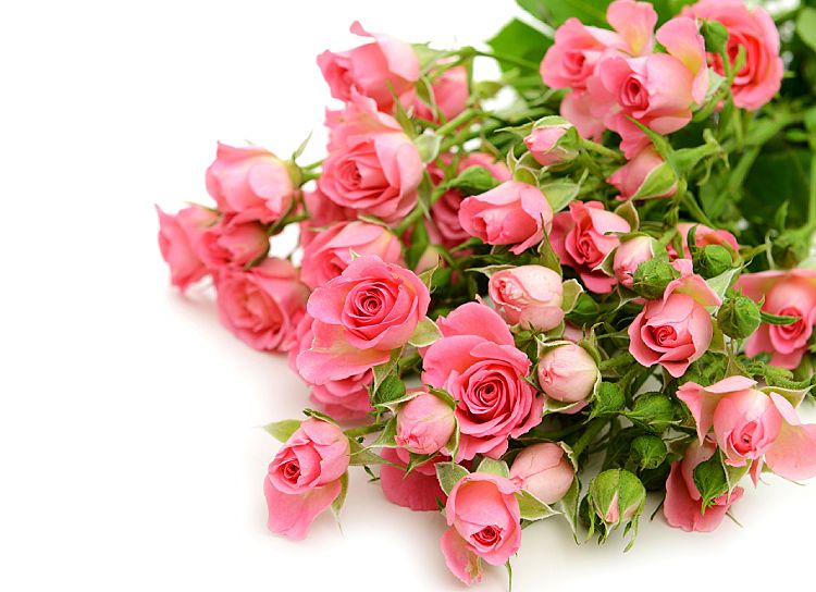 Поздравления НИУ «БелГУ» Коллектив БелГУ поздравляет с юбилеем Галину Васильевну Макотрову