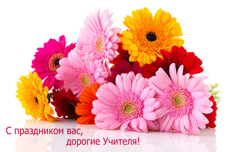 Поздравления НИУ «БелГУ» С Днём учителя!