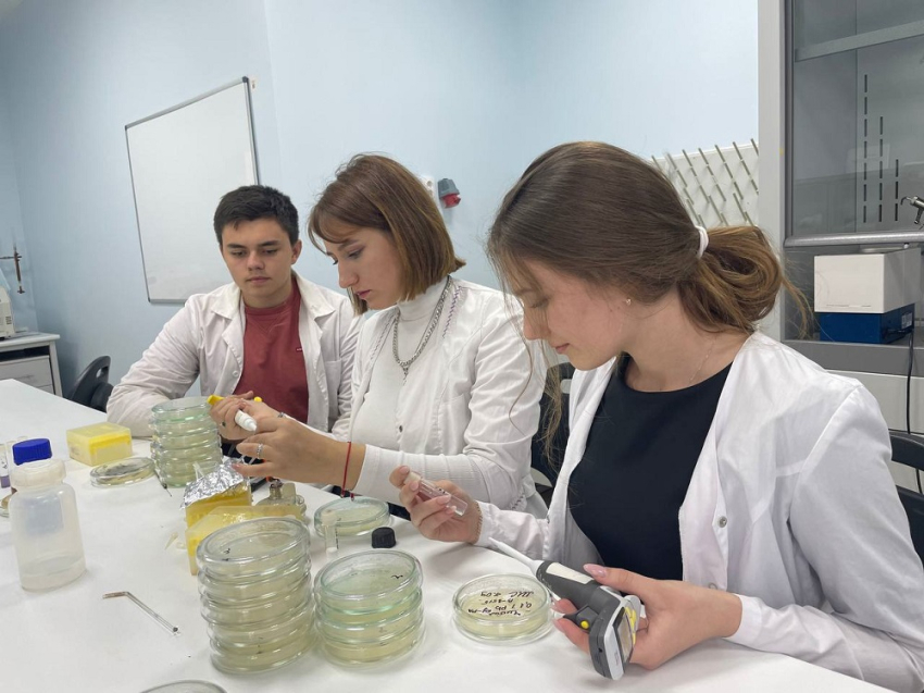 События НИУ «БелГУ» учёные ниу «белгу» разработали устройство для оценки интенсивности дыхания микробной культуры

