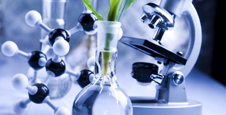 События НИУ «БелГУ» неделя науки в ниу «белгу»