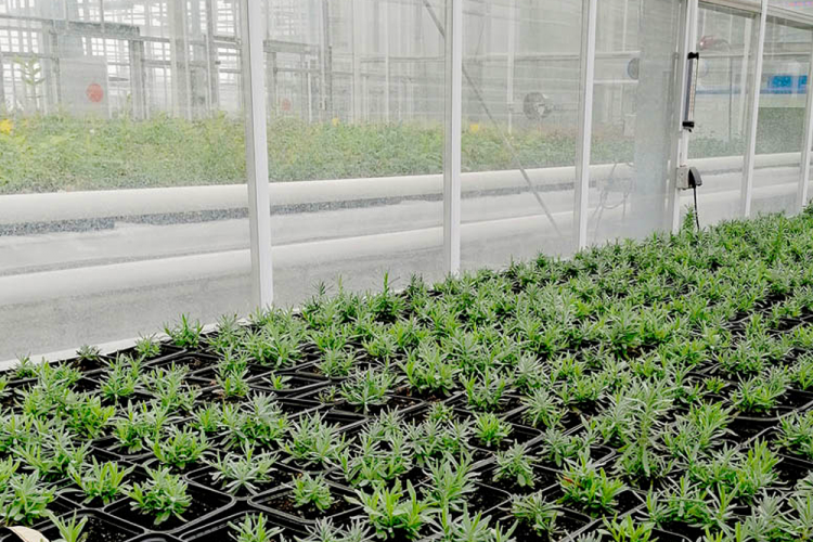 События НИУ «БелГУ» новые проекты – с ниу «белгу»