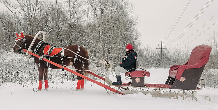 Объявления НИУ «БелГУ» катание на санях