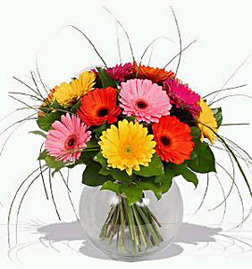 Поздравления НИУ «БелГУ» Коллектив БелГУ поздравляет с юбилеем Павла Васильевича Очереднюка