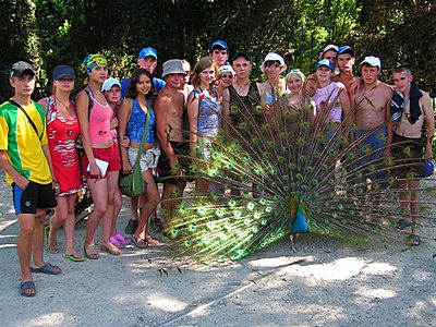 События НИУ «БелГУ» практика в крыму