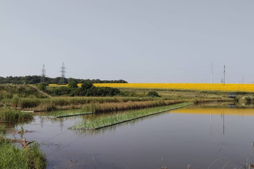 События НИУ «БелГУ» яковлевский гок в сотрудничестве с ниу «белгу» работает над совершенствованием системы фитоочистки