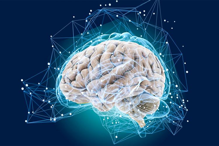 События НИУ «БелГУ» профессии будущего в ниу «белгу» 