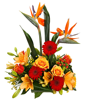 Поздравления НИУ «БелГУ» Коллектив НИУ «БелГУ» поздравляет с юбилеем Виктора Алексеевича Кракашова