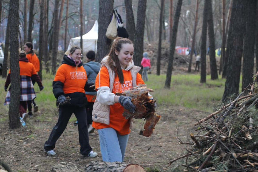 События НИУ «БелГУ» коллектив ниу «белгу» принял участие в общегородском субботнике