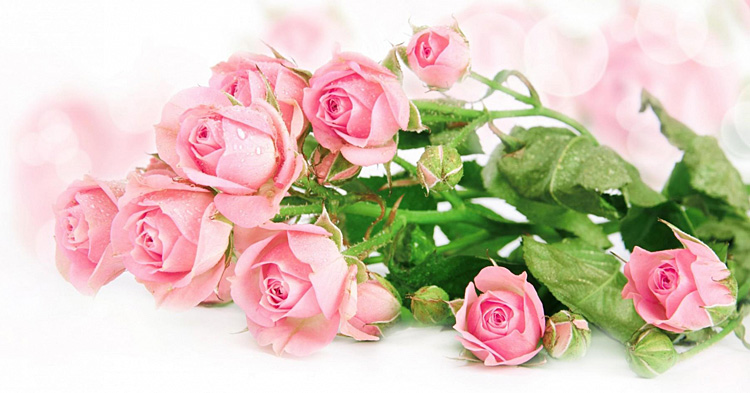 Поздравления НИУ «БелГУ» Коллектив БелГУ поздравляет с юбилеем Людмилу Константиновну Бусловскую