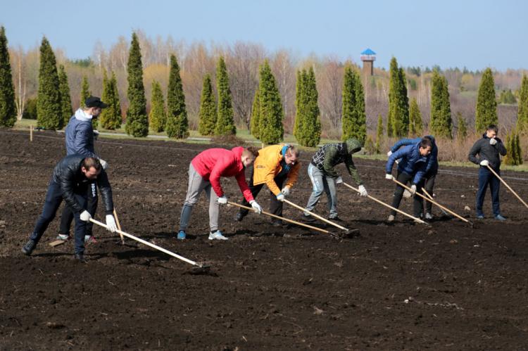 События НИУ «БелГУ» первые саженцы сирени высадили в ботаническом саду ниу «белгу»