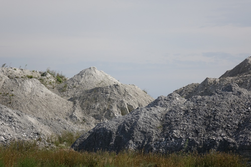 События НИУ «БелГУ» учёные ниу «белгу» нашли способ извлечения полезных веществ из цитрогипса с помощью растений 