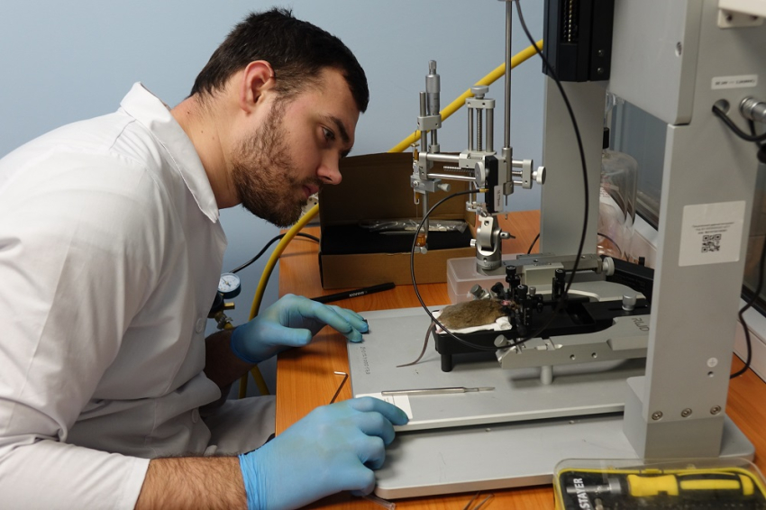 События НИУ «БелГУ» в ниу «белгу» открывается новое направление высокоточного моделирования черепно-мозговых травм