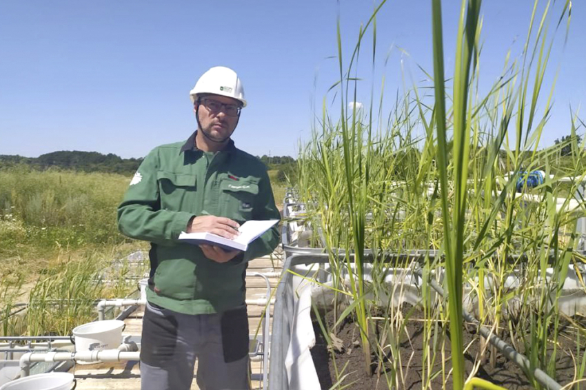 События НИУ «БелГУ» уникальные фитоочистные сооружения построили на яковлевском гоке с участием ниу «белгу»