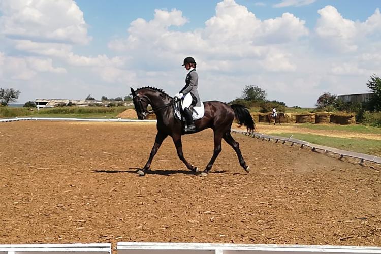 События НИУ «БелГУ» победы конноспортивной школы