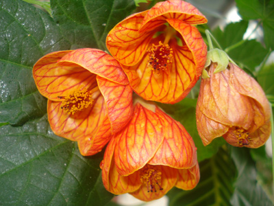 События НИУ «БелГУ» спешите видеть