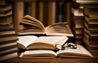 В НИУ «БелГУ» пройдёт научный стрим