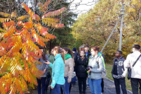 Практико-ориентированное обучение в действии